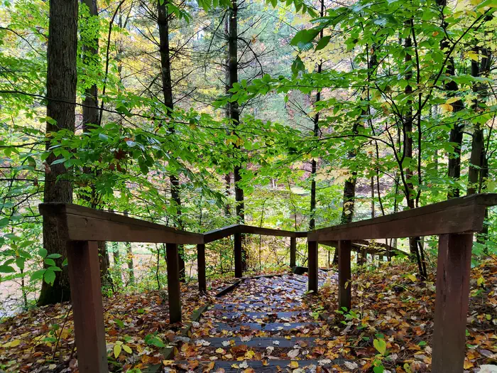 Seaton Creek Campground — Stairs
