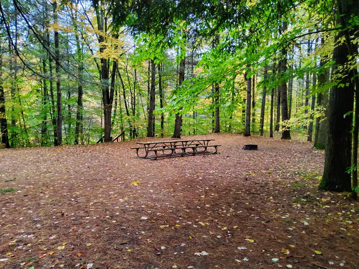 Seaton Creek Campground — Day Use