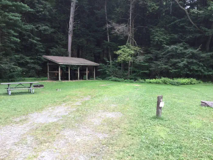 Kelly Pines Campground — Kelly Pines Campground: Site 6