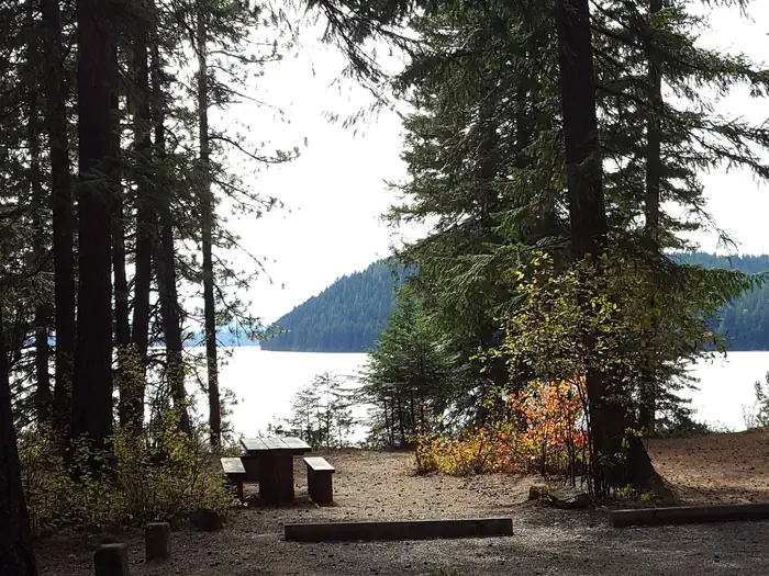 Reeder Bay — Reeder Bay Campground Site 19