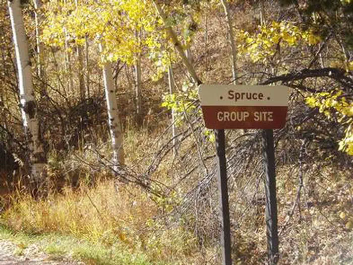Spruce Group - Lake Isabel — SPRUCE GROUP - LAKE ISABEL