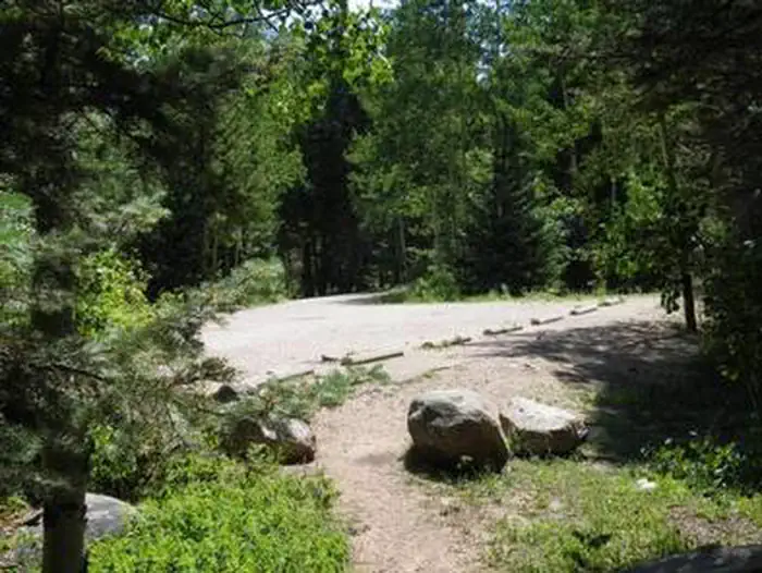 Spruce Group - Lake Isabel — SPRUCE GROUP - LAKE ISABEL