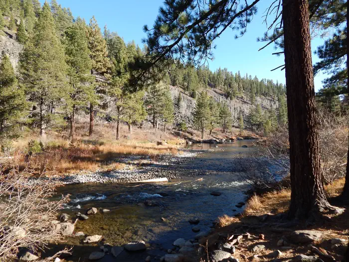 Goose Meadows — Goose Meadow Campground