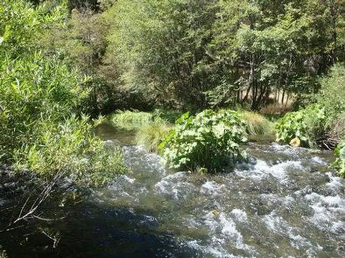 Mad River Campground — MAD RIVER CAMPGROUND
