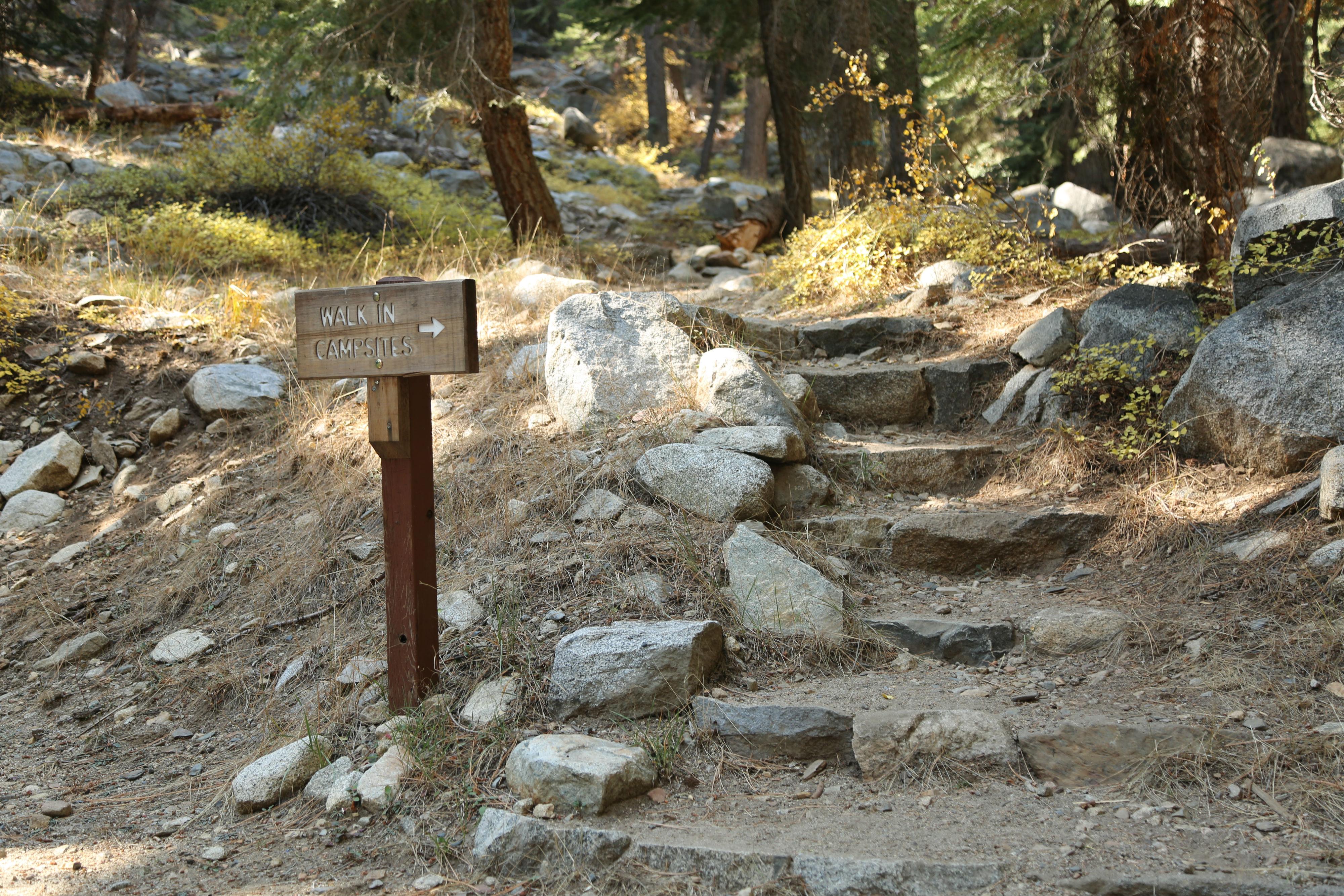 Cold Springs Campground (ca) — Path to Walk-in Sites