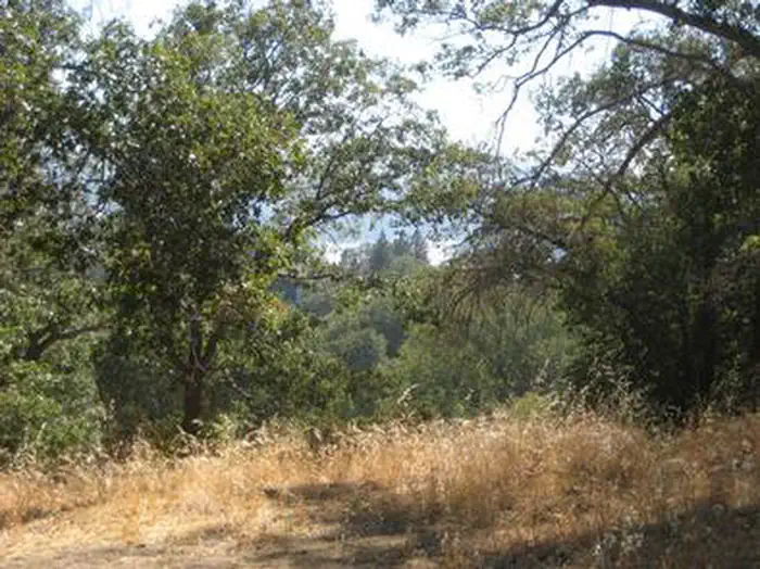 North Shore Campground  — View from North Shore Campground