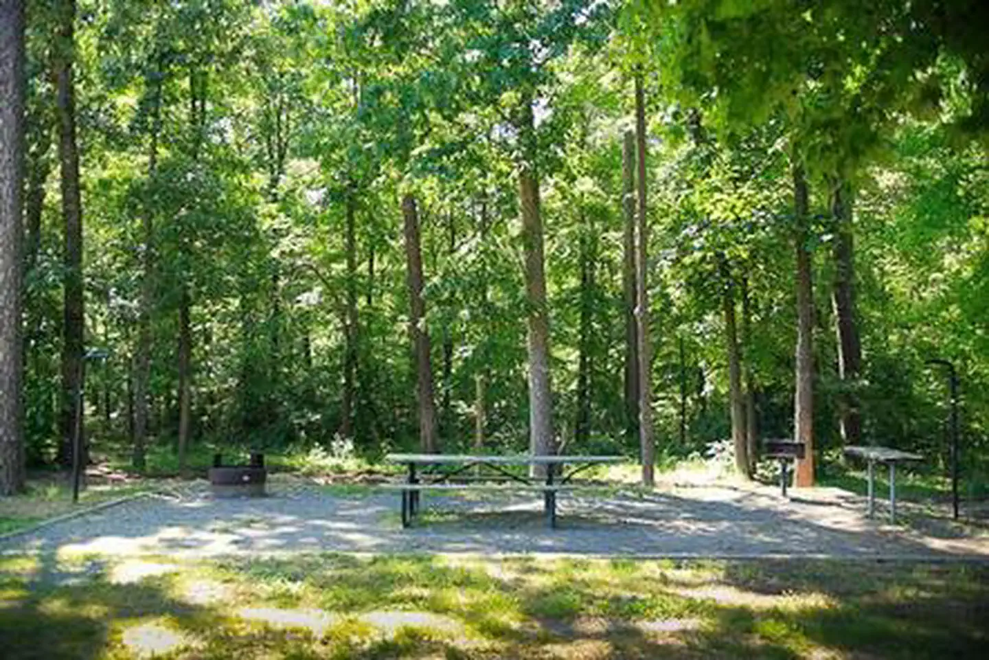 Canebrake Horse Camp — CANEBRAKE HORSE CAMPSITE