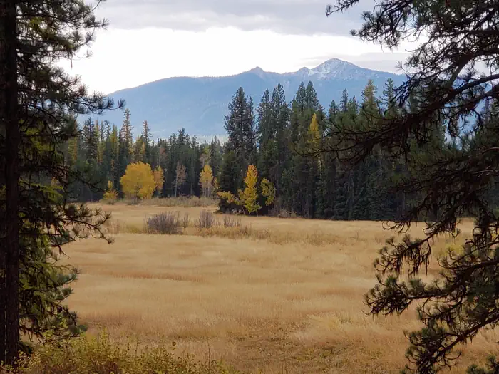Old Condon Ranger Station β Old Condon Ranger Station View