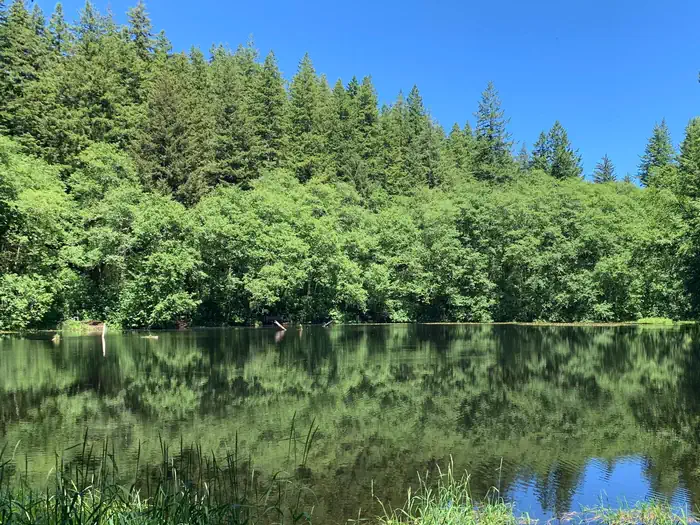 Hebo Lake Campground — Hebo Lake surrounded by a forested landscape.