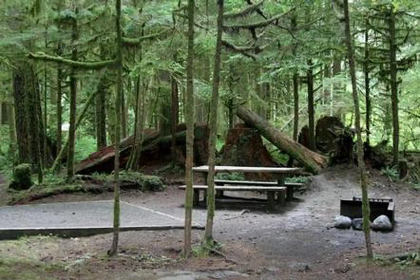 Gold Basin Campground — Gold Basin Campground