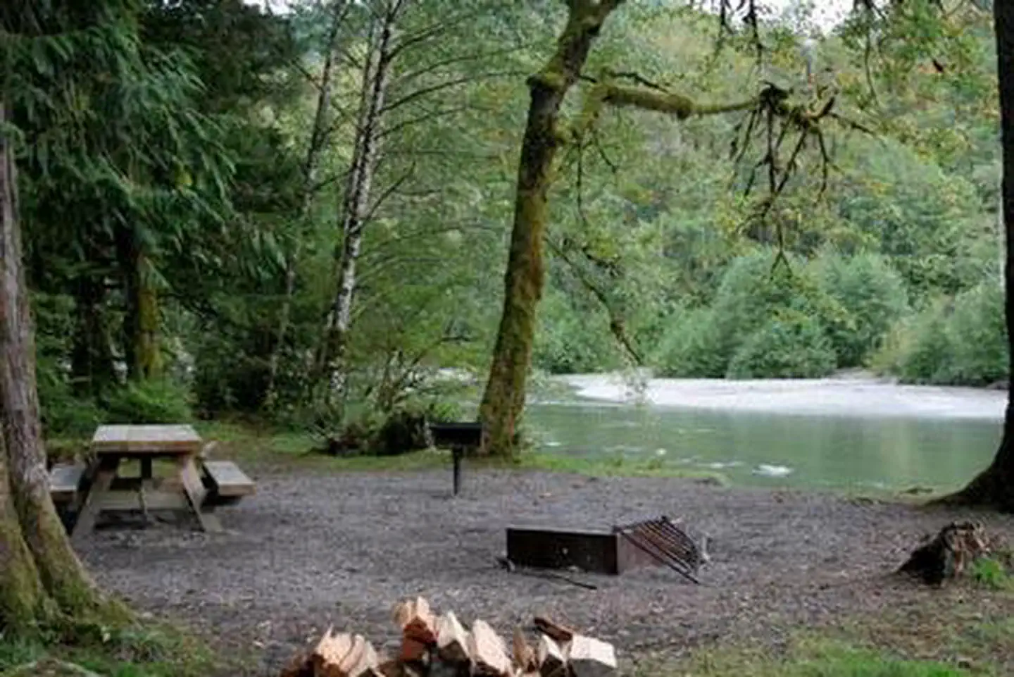 Gold Basin Campground — Gold Basin Campground