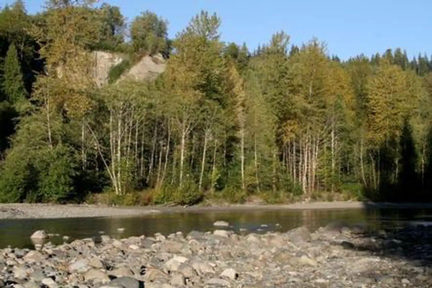 Gold Basin Campground — Gold Basin Campground