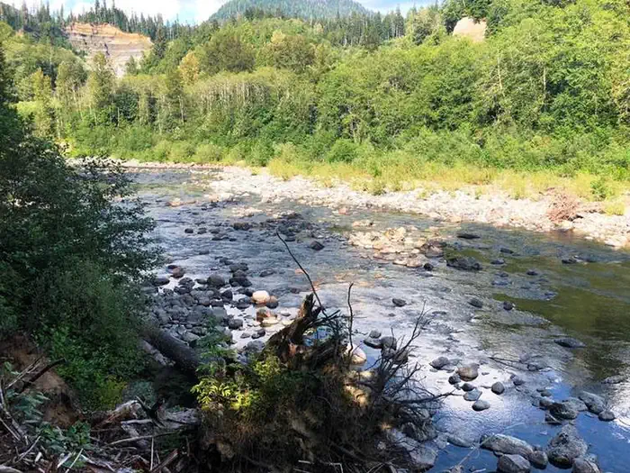 Gold Basin Campground — Gold Basin Campground
