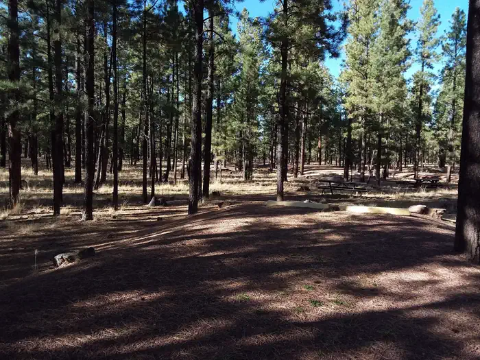Hoyer — HOYER Campground Shaded Standard Site