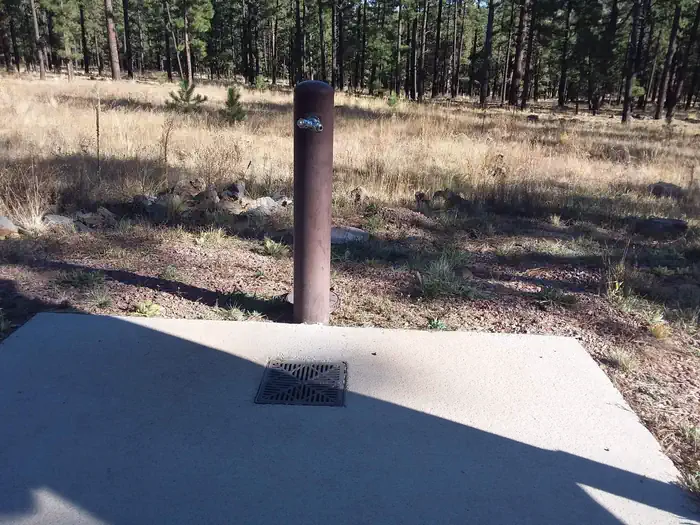 Hoyer — HOYER Bear Loop Water Spout