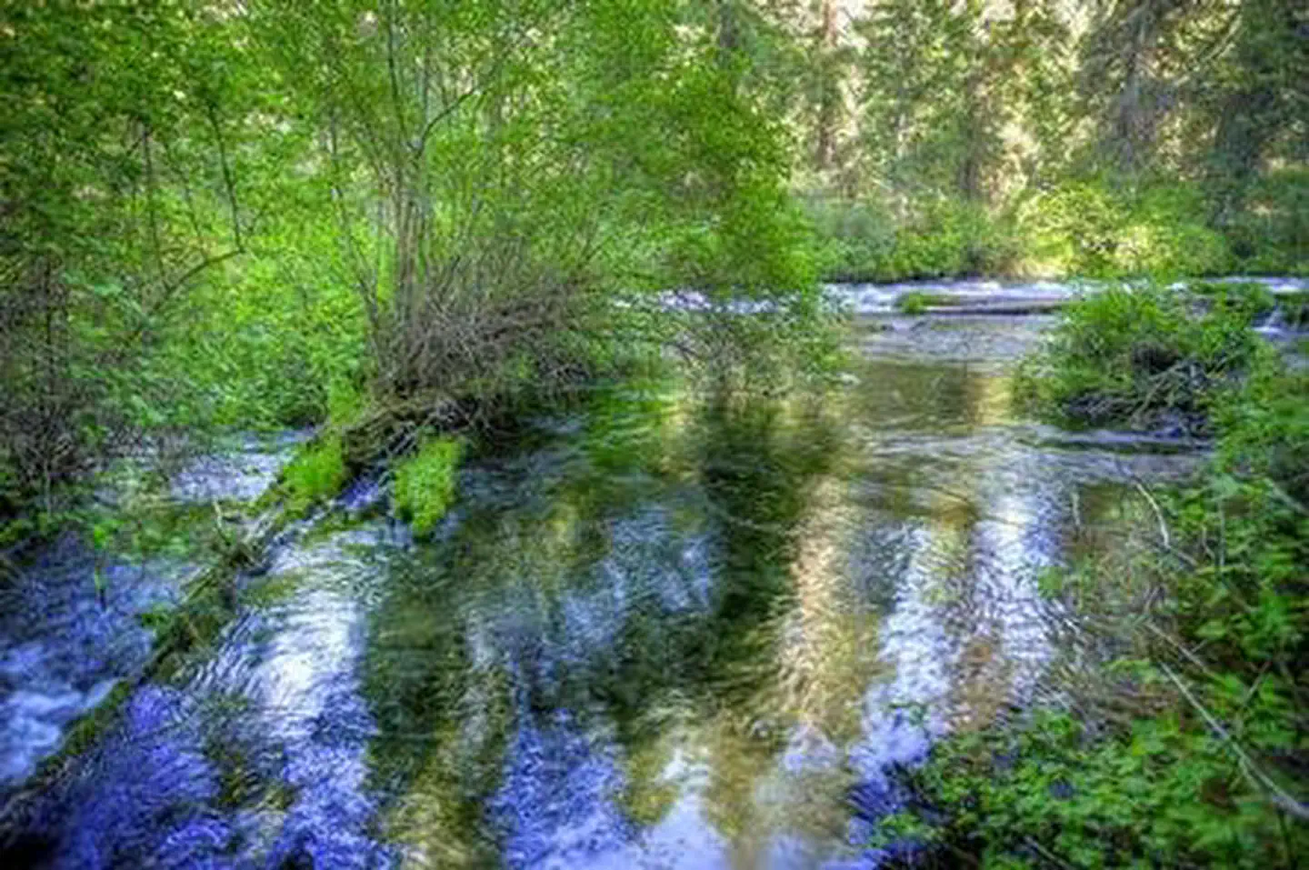Candle Creek Campground — CANDLE CREEK CAMPGROUND