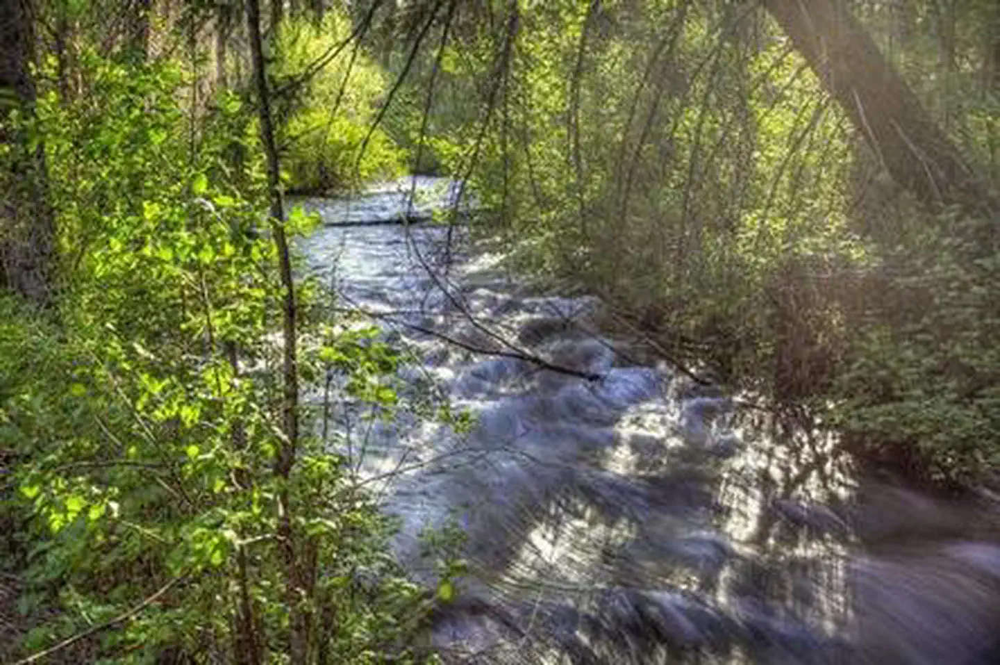 Candle Creek Campground — CANDLE CREEK CAMPGROUND