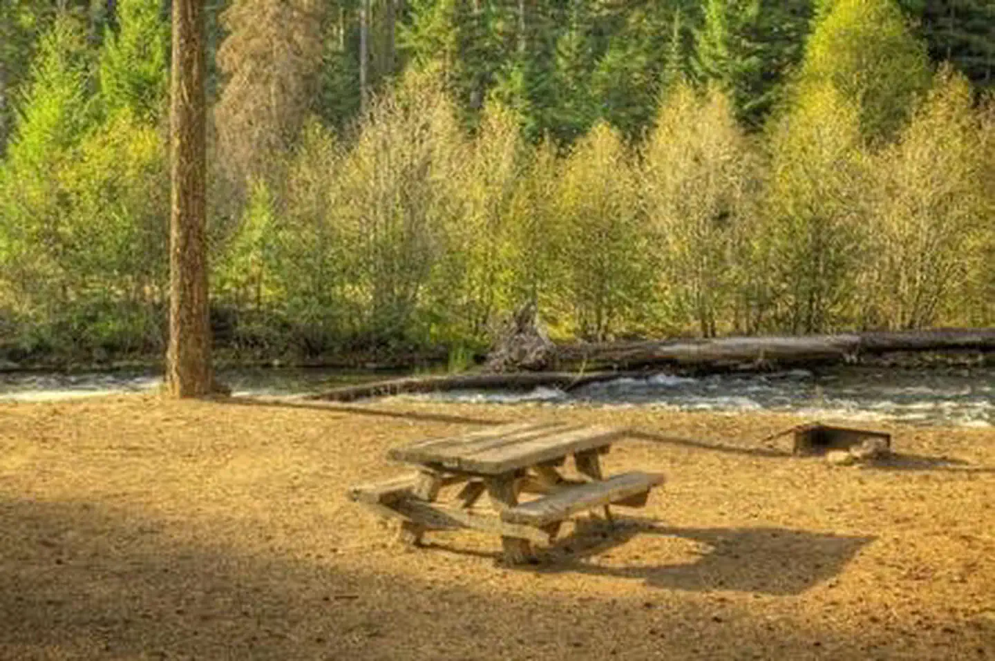 Cedar Springs Campground (wa) — CEDAR SPRINGS CAMPGROUND (WA)