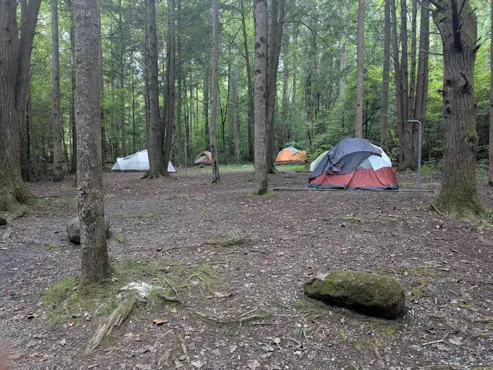 Big Creek Group Camp — Camping in Big Creek