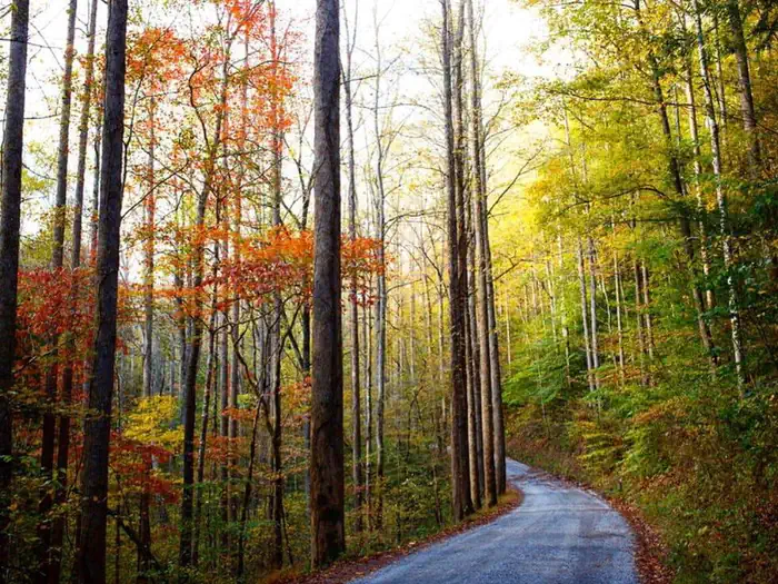 Big Creek Group Camp — Big Creek Rd