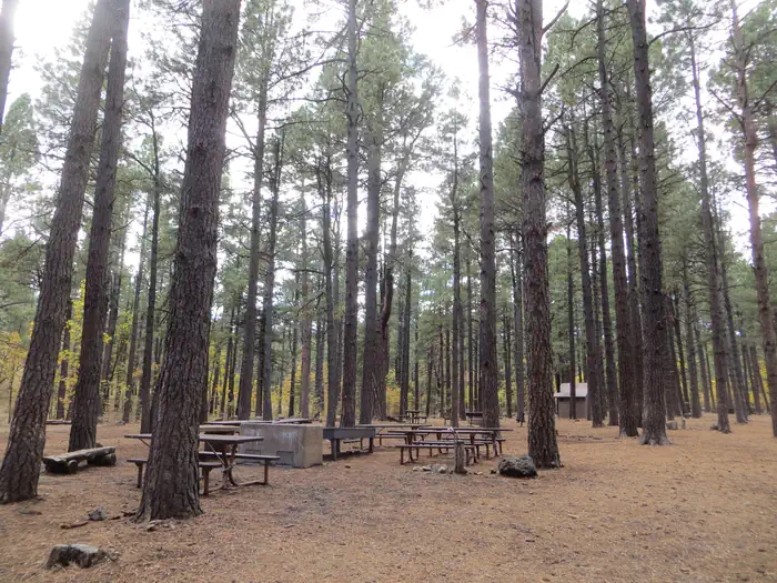 Dairy Springs Campground — Dairy Springs Group Site