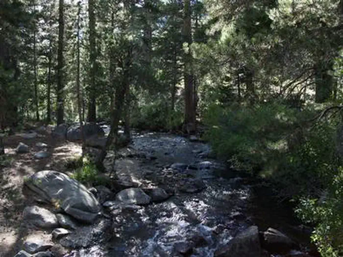 Green Creek — GREEN CREEK GROUP