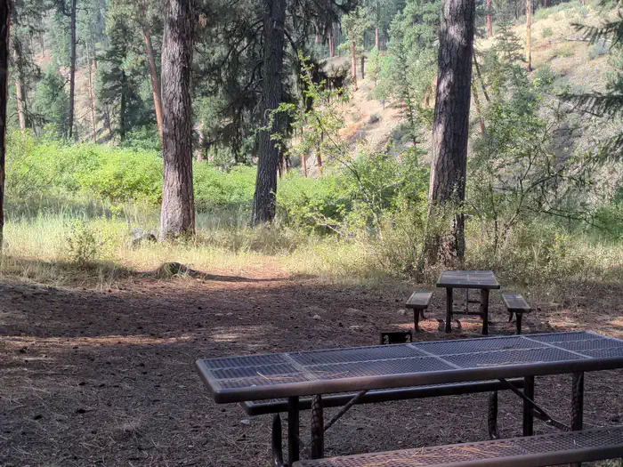 Buckhorn Bar Campground — Double walk-in campsite at River Loop adjacent to the South Fork of the Salmon River.