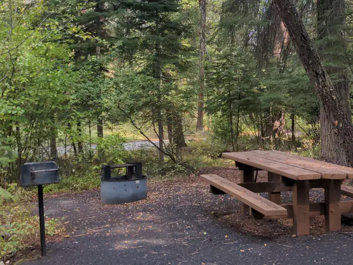 Buckhorn Bar Campground — Campsite in forested setting with pedestal grill, fire pit and picnic table.