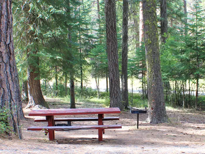 Buckhorn Bar Campground — Campsite with picnic table, pedestal grill and fire ring.