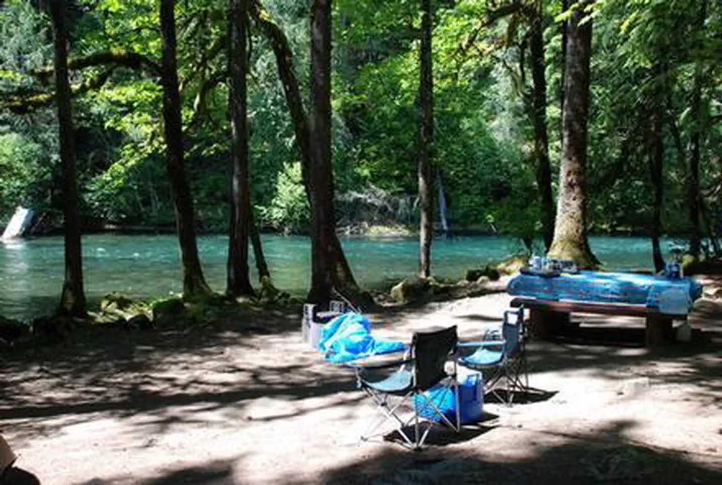 Paradise In Oregon — PARADISE IN OREGON