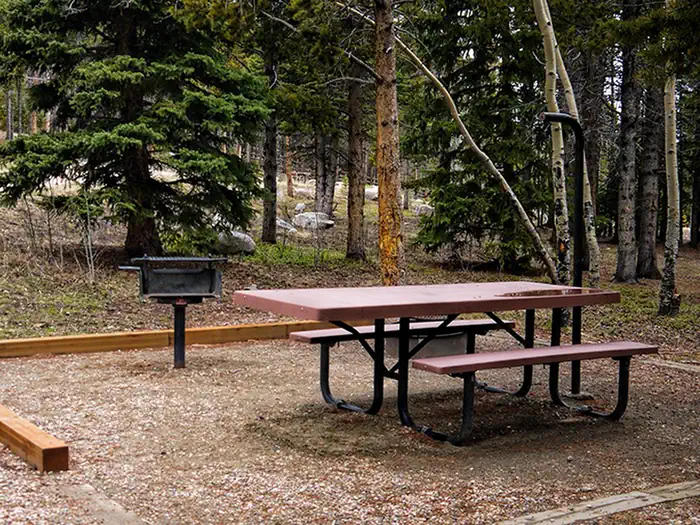 Circle Park Campground — Picnic Table and grill in Circle Park Campground