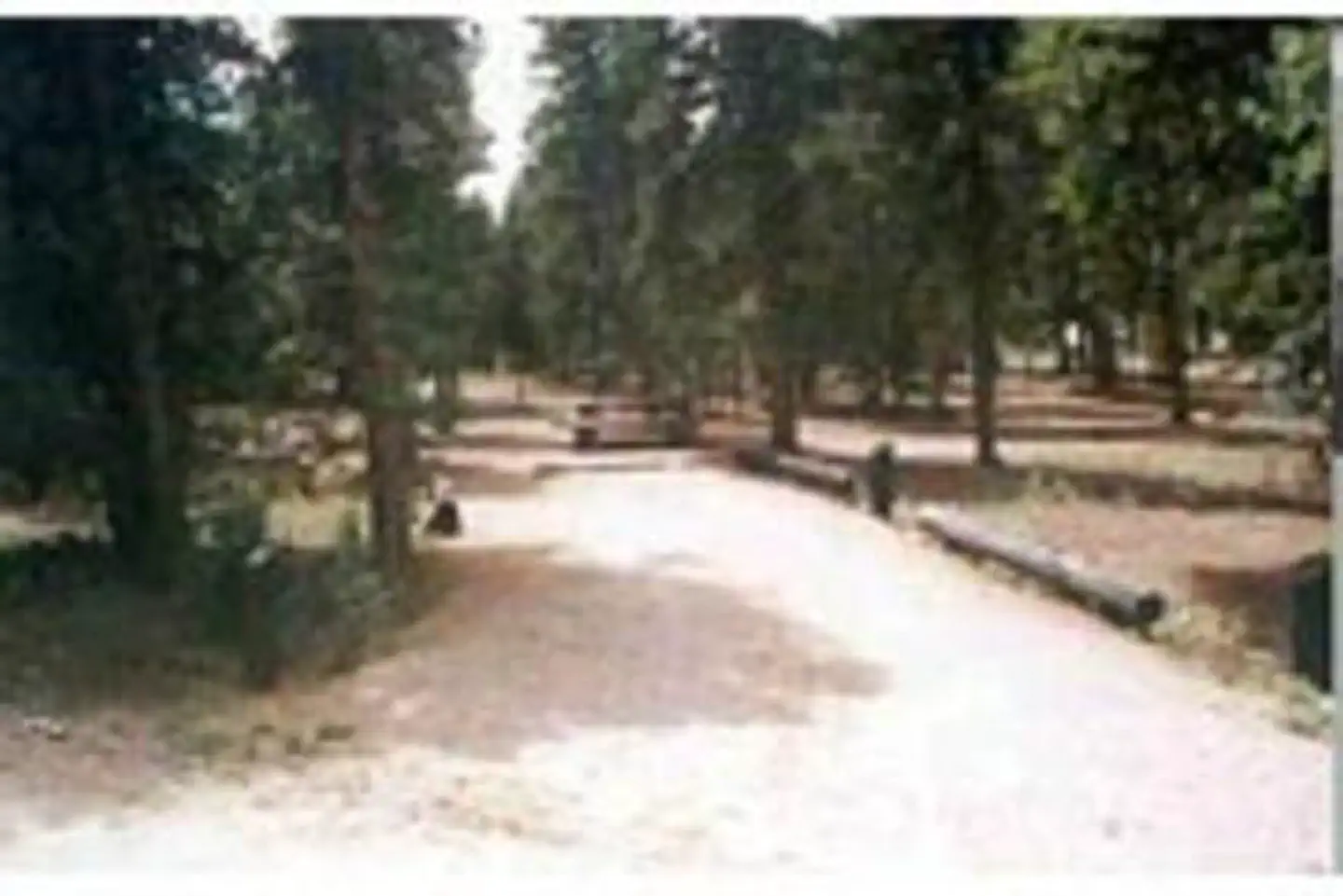 Columbine Campground — COLUMBINE CAMPGROUND