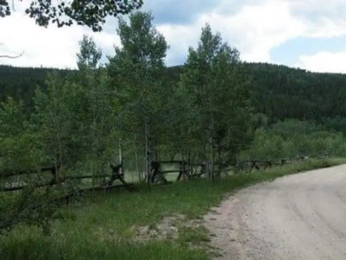 Columbine Campground — COLUMBINE CAMPGROUND