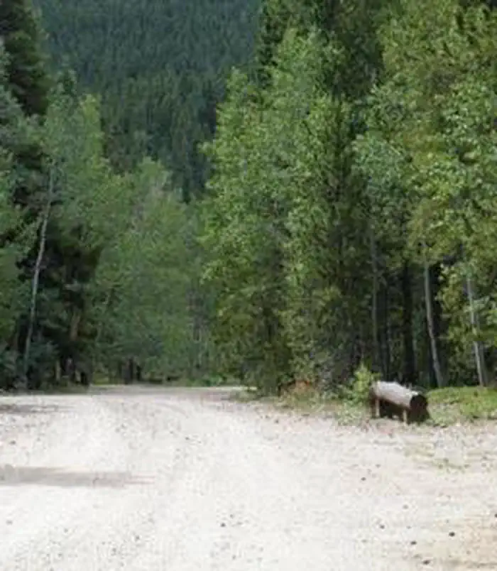 Columbine Campground — COLUMBINE CAMPGROUND