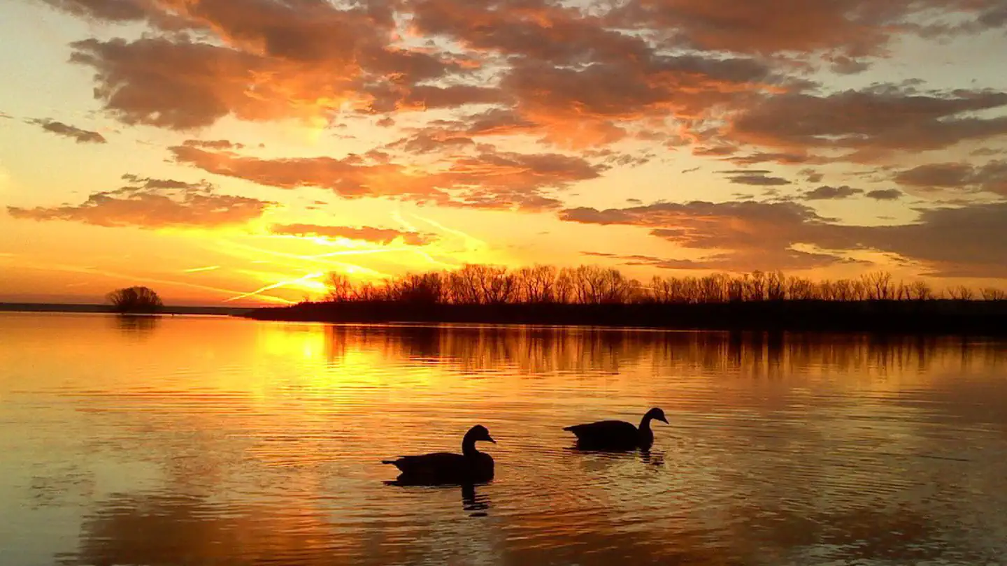 Bloomington East - Clinton Lake