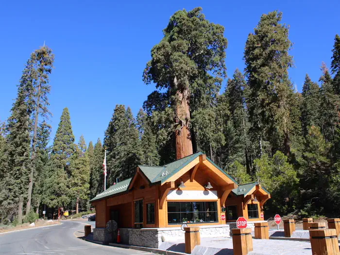 Azalea Campground — KCNP Big Stump Entrance Station