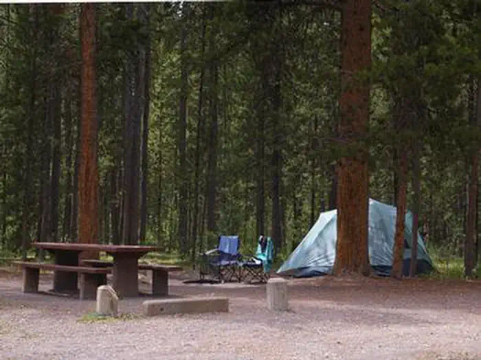 Rainbow Point Campground — Pine trees surrounding campsite, picnic table, fire ring tent & camp chairs