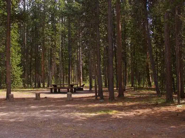 Rainbow Point Campground — Campsite surrounded by pine trees,  picnic table & fire ring