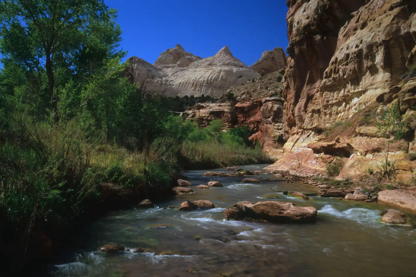 Fruita Campground — A stream with red-brown rocks in it. On the left side is green foliage. On the right side is a red-brown cliff. In the background is a white rock formation rising into a vibrant blue sky.