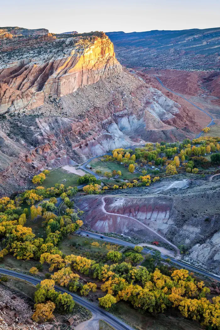 Fruita Campground — Looking down on several trees with yellow-green leaves. In the middle of the trees is a patch of dirt with a dirt road going through it. To the right side a red rock formation looms over the trees.