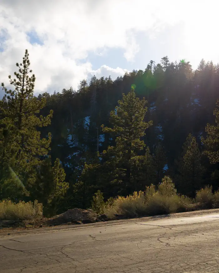 Mcgill Campground And Group Campground — McGill Campground 3