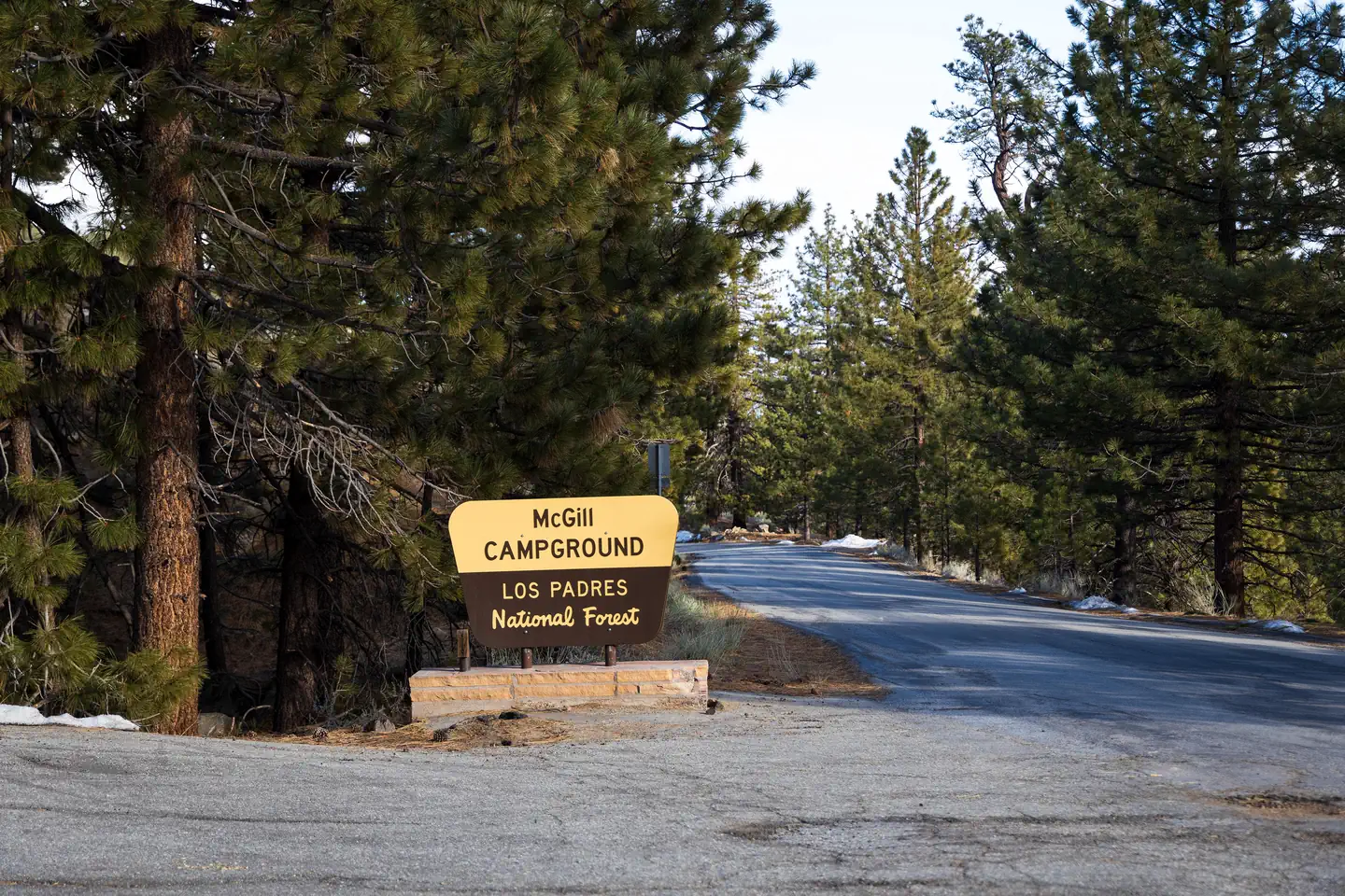 Mcgill Campground And Group Campground — McGill Campground