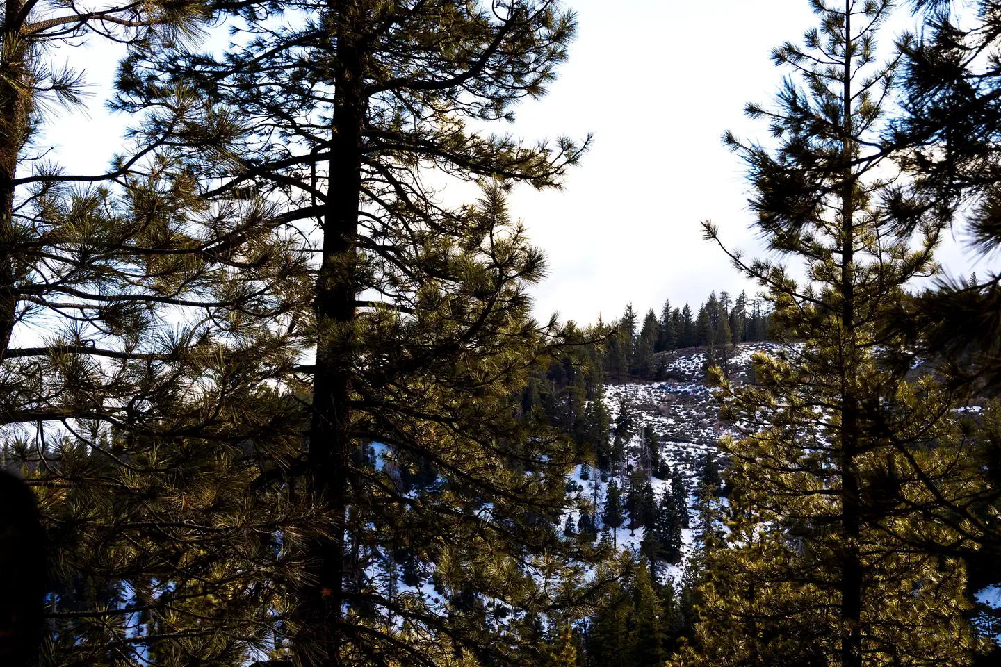 Mcgill Campground And Group Campground — McGill Campground 2