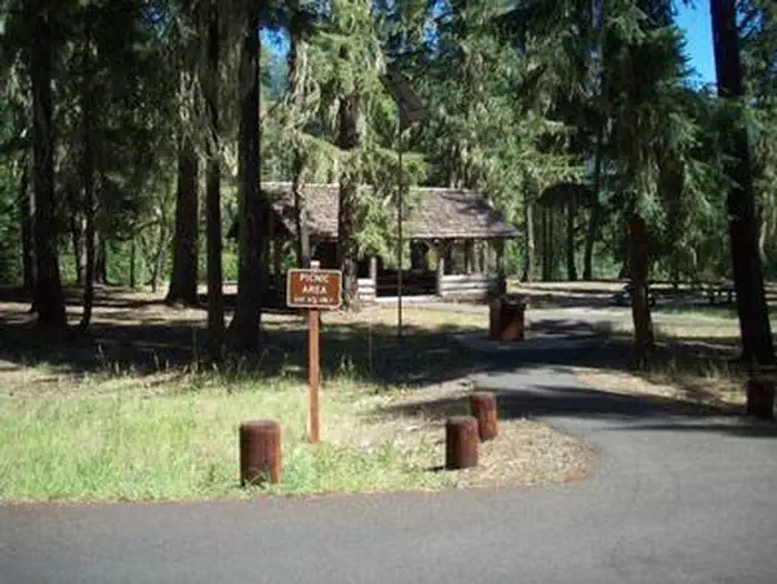 Salmon La Sac — View past picnic area sign down paved road bordered with stump barriers and intermittent conifer trees, sunlit group picnic shelter in background.