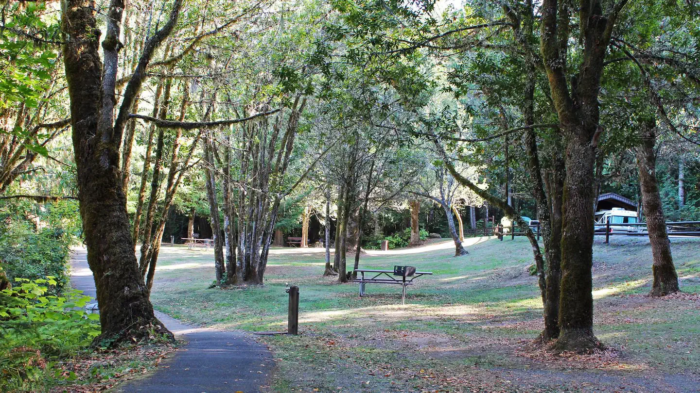 Tyee Campground (umpqua River)
