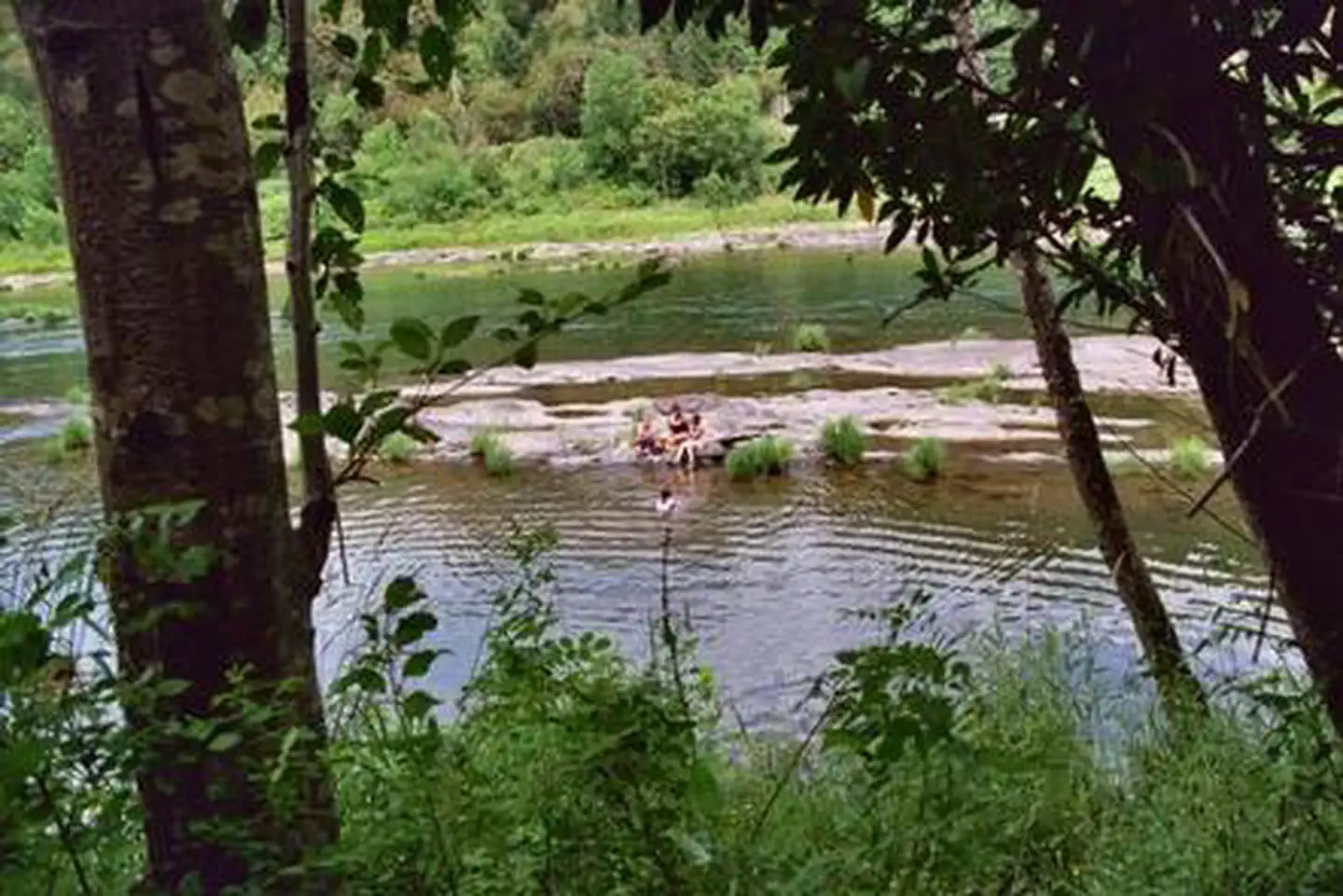 Tyee Campground (umpqua River) — Umpqua River from Tyee Campground.