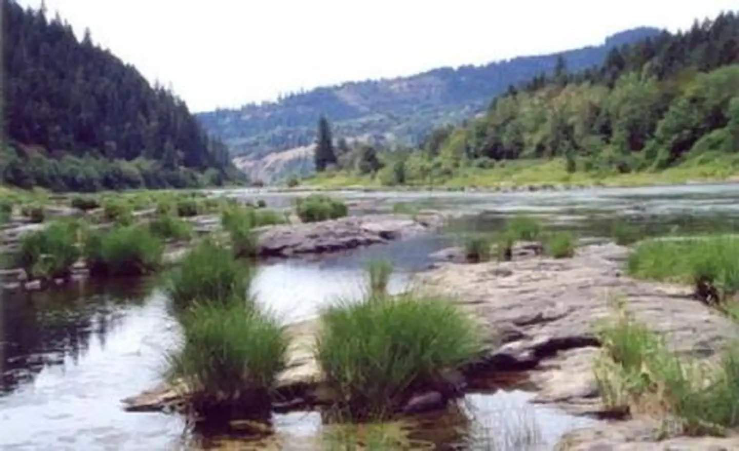 Tyee Campground (umpqua River) — River level view of the Umpqua River at Tyee Campground.