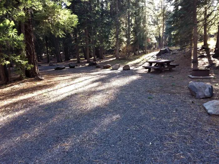 Grayling — View of site 14 at Grayling Campground