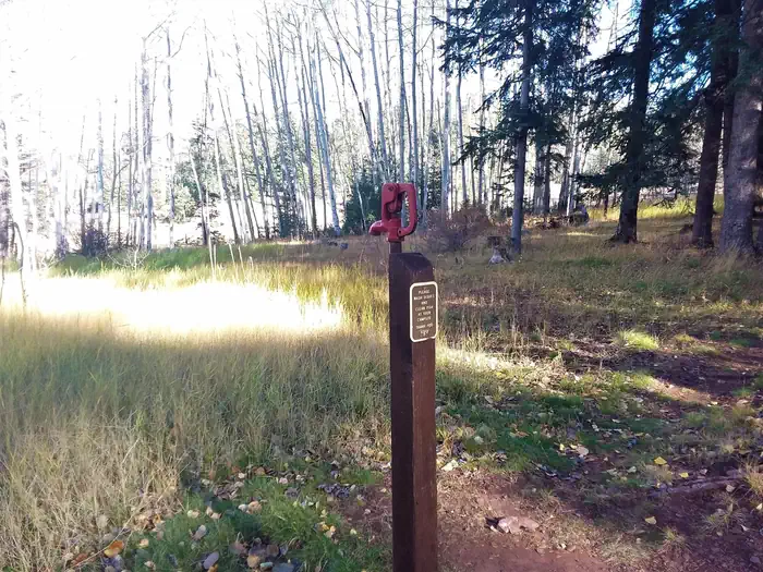 Grayling — Grayling Campground, one of various water sources
