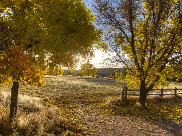 Bridge Hollow — Fall in Browns Park